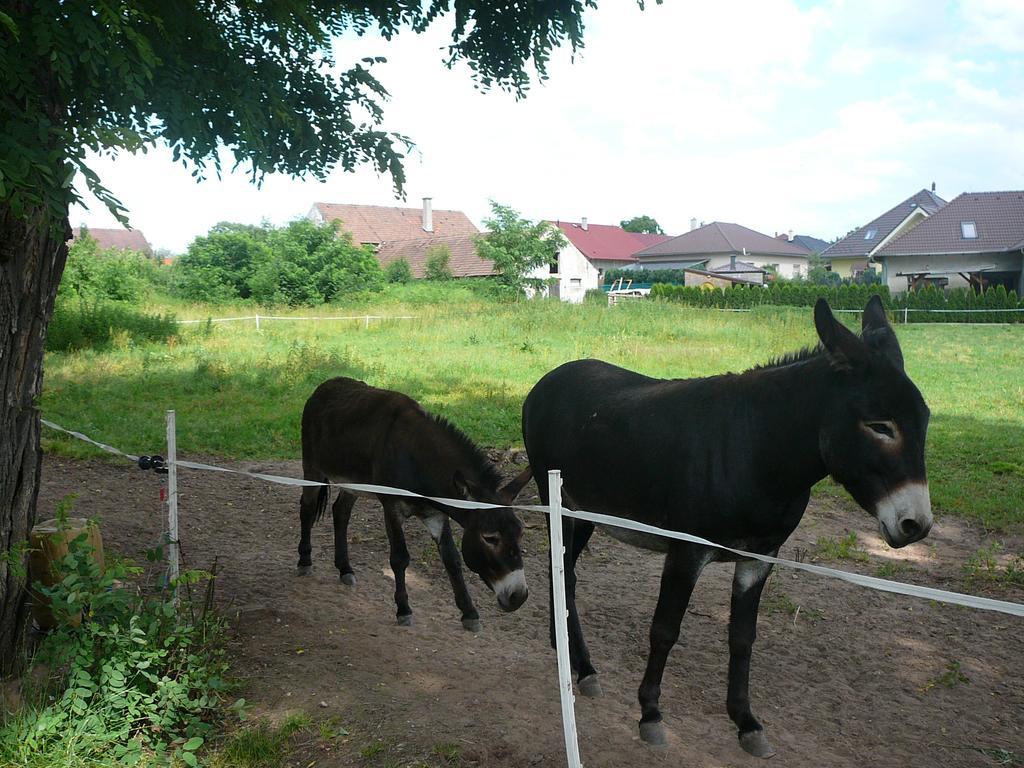 Penzion U Stoly Usilne Buitenkant foto
